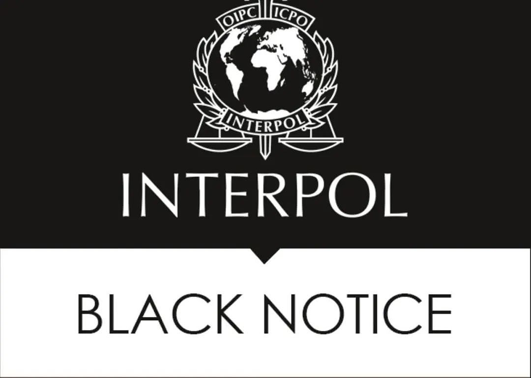 奥克兰Gulf Harbour女尸案进展，发布黑色通缉令，国际刑警加入（组图） - 4