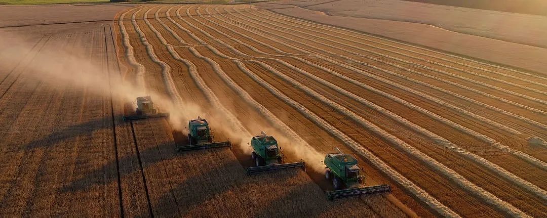 中国取消150万吨美澳小麦，抄底俄罗斯（组图） - 4