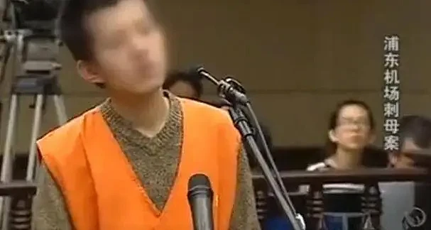 2011年上海一男子在机场连捅亲妈九刀，法庭上说出杀人原因，法官一度无语（组图） - 12