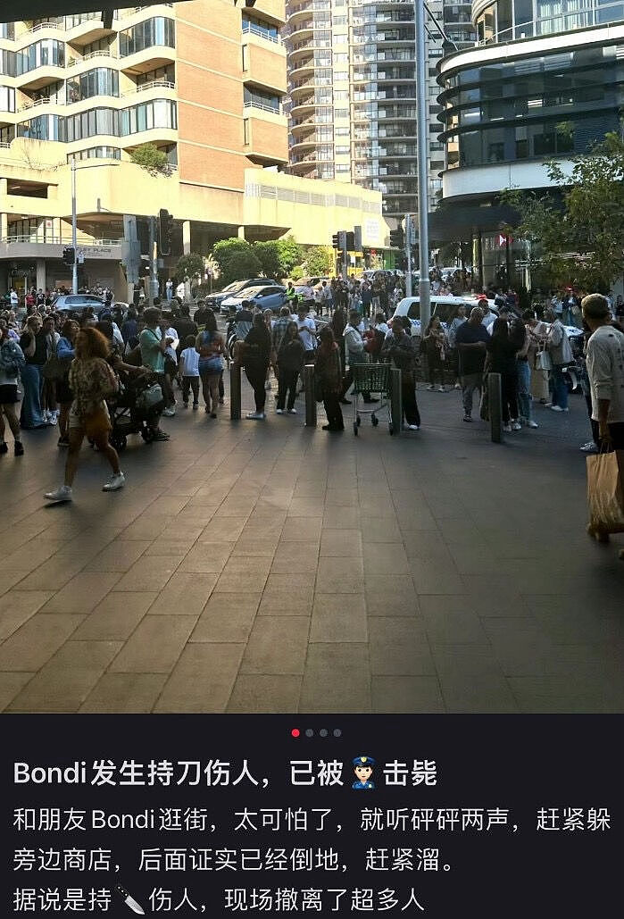 7死12伤！凶手身份刚刚公布，悉尼惨案震惊世界，中国驻悉尼大使馆紧急发声（组图） - 29