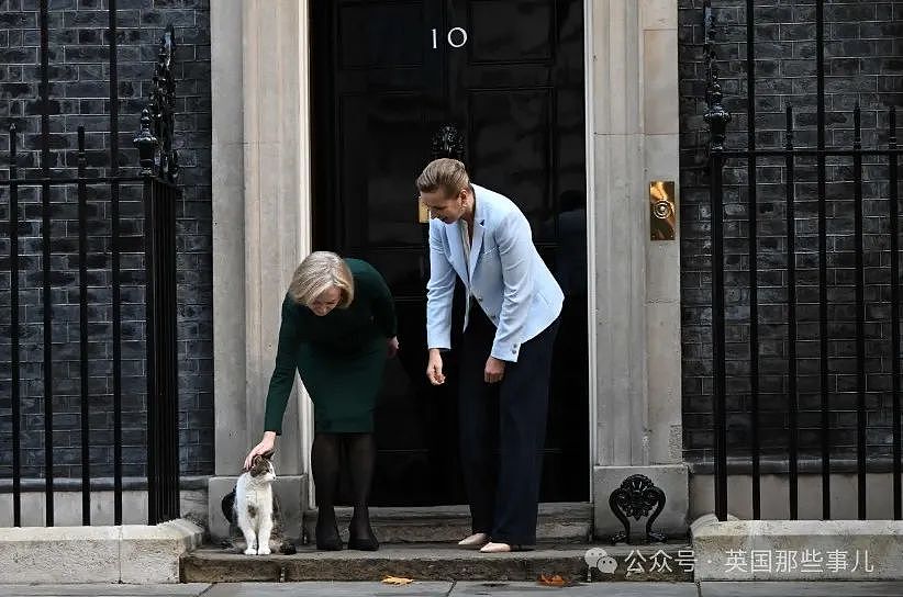 英国最短命首相自传，揭秘女王最后会面，疯狂吐槽唐宁街10号：没家具还有跳蚤！（组图） - 15