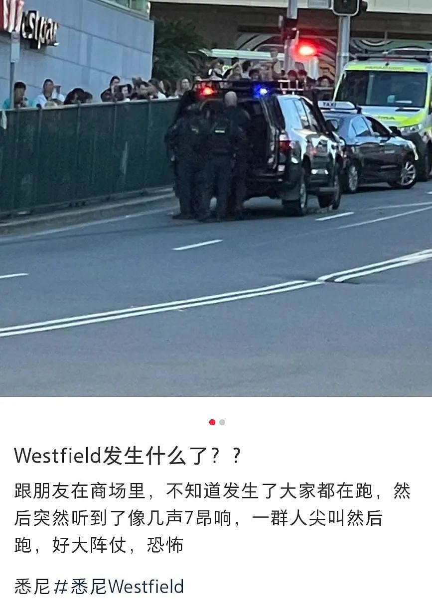 7死12伤！凶手身份刚刚公布，悉尼惨案震惊世界，中国驻悉尼大使馆紧急发声（组图） - 28