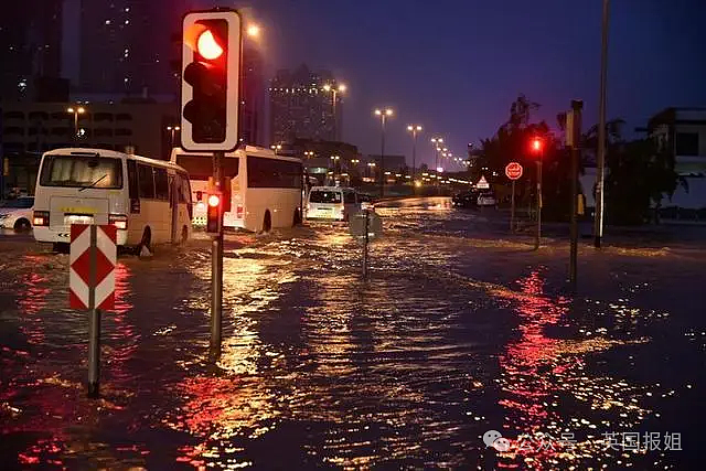 迪拜突发罕见大洪水，沙漠变汪洋！一天下完一年的雨，民众划橡皮艇逃难？（组图） - 27