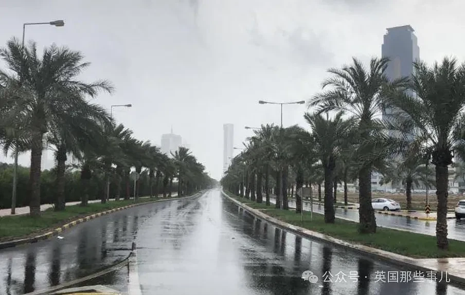 迪拜一天下了一年半的雨！沙漠人民开始努力抗洪... 这？？（组图） - 31