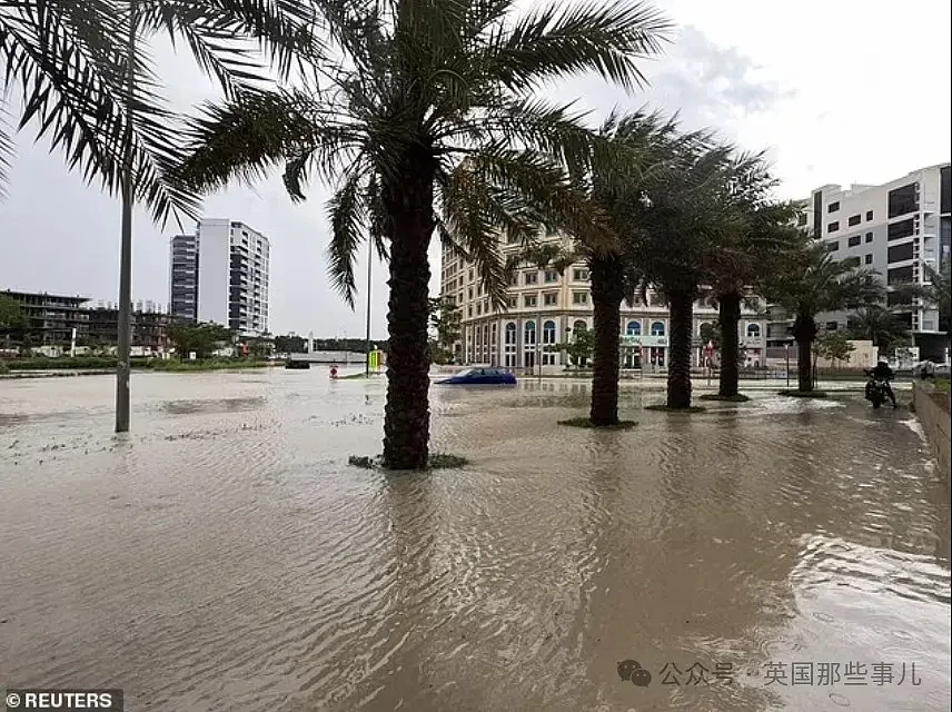迪拜一天下了一年半的雨！沙漠人民开始努力抗洪... 这？？（组图） - 3