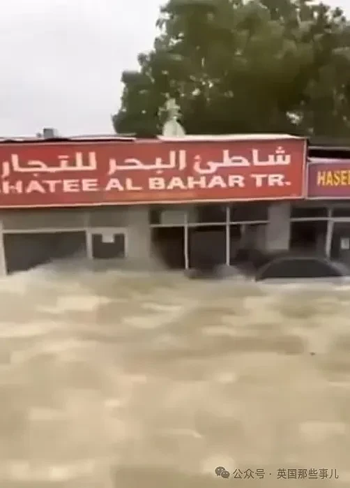 迪拜一天下了一年半的雨！沙漠人民开始努力抗洪... 这？？（组图） - 21