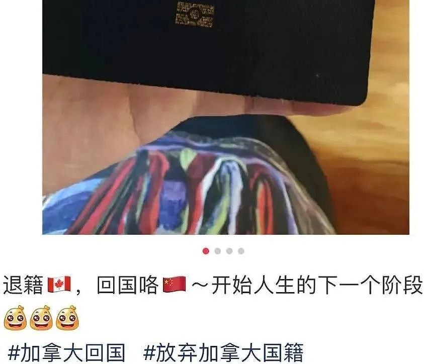 “逃离加拿大“！网红夫妇带3娃永久移居亚洲！大批华人退加籍回流： 毫无幸福感（组图） - 8