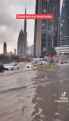 迪拜突发罕见大洪水，沙漠变汪洋！一天下完一年的雨，民众划橡皮艇逃难？（组图） - 5