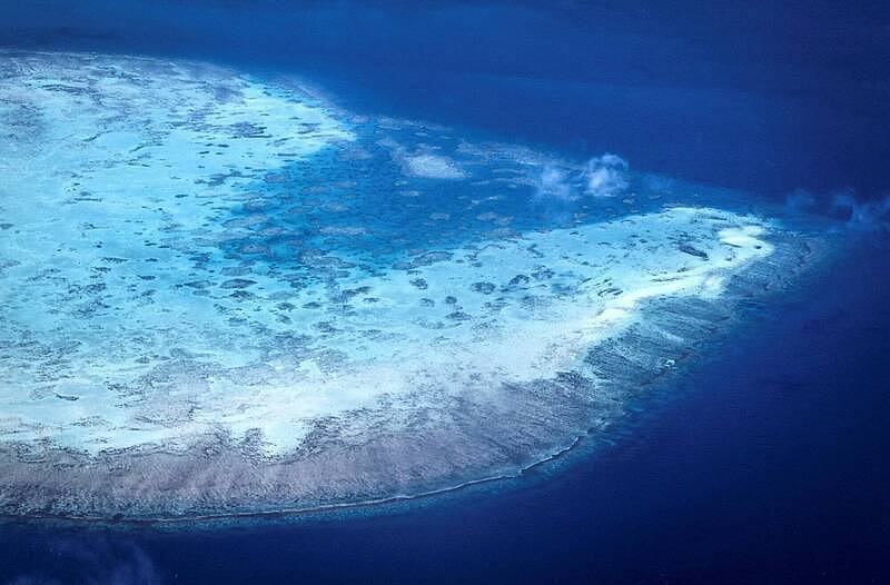 全球暖化威胁！澳洲大堡礁遭遇有史以来最严重白化现象（图） - 1