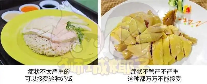 热议！“再也不来新加坡了！”这位中国女游客食阁用餐，因“它”吓哭了...（组图） - 19