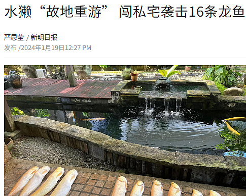 热议！“再也不来新加坡了！”这位中国女游客食阁用餐，因“它”吓哭了...（组图） - 29