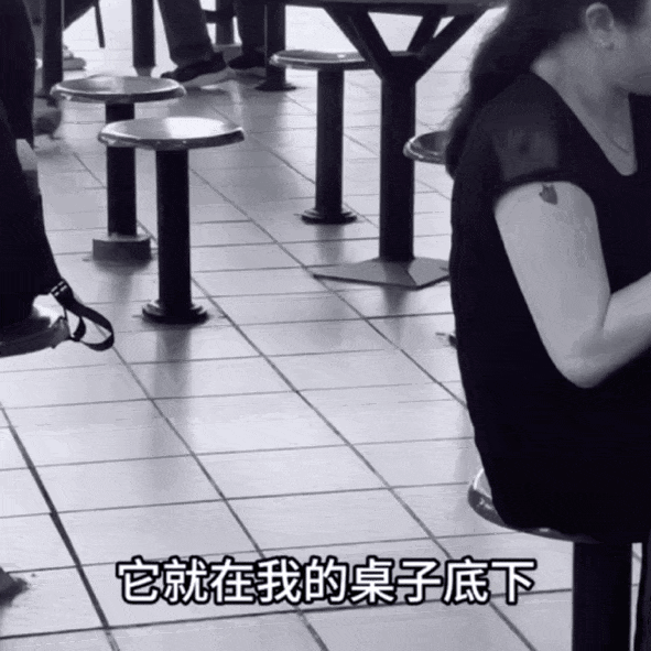 热议！“再也不来新加坡了！”这位中国女游客食阁用餐，因“它”吓哭了...（组图） - 2