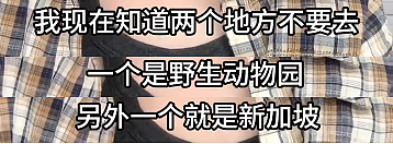 热议！“再也不来新加坡了！”这位中国女游客食阁用餐，因“它”吓哭了...（组图） - 8