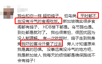 热议！“再也不来新加坡了！”这位中国女游客食阁用餐，因“它”吓哭了...（组图） - 10