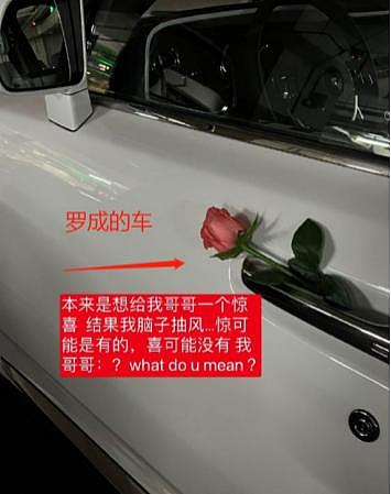 住豪宅开豪车，蹭富二代流量捞金的女网红，把自己蹭到牢里了（组图） - 6