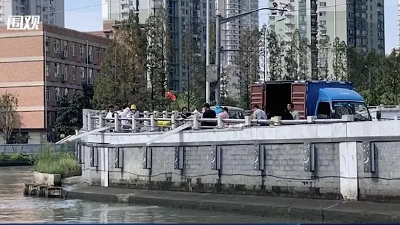 上海苏州河外白渡桥附近大量死鱼漂浮！最新回应：死鱼已打捞，疑放生所致，22年也发生过（组图） - 14