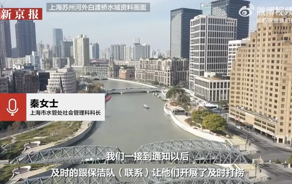 上海苏州河外白渡桥附近大量死鱼漂浮！最新回应：死鱼已打捞，疑放生所致，22年也发生过（组图） - 9