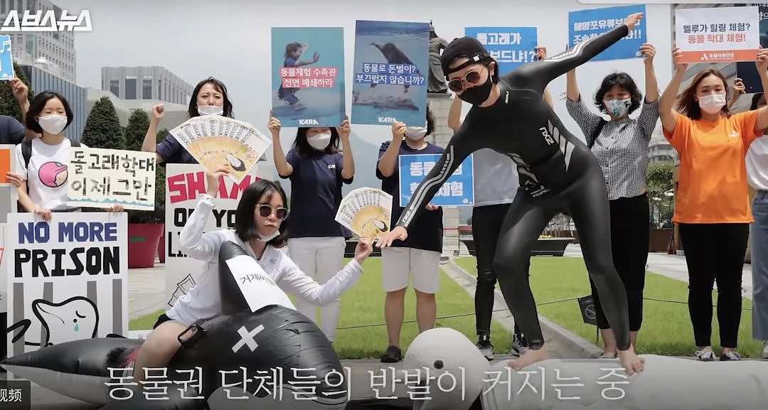 海豚天堂变坟场，水族馆10年虐死14头鲸豚，海豚在这里累到罢演…（组图） - 4