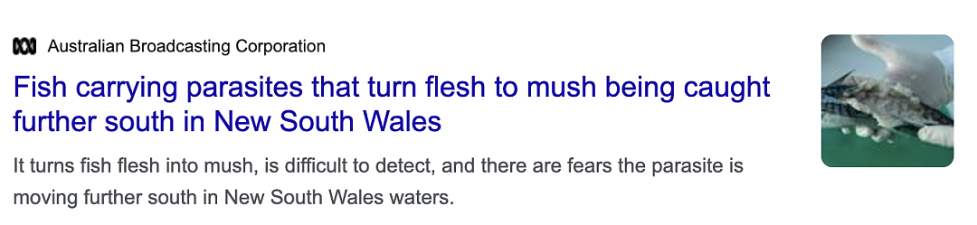 千万别吃！澳洲常见鱼类“暴雷”，被查出大量寄生虫！画面太恶心...（组图） - 5
