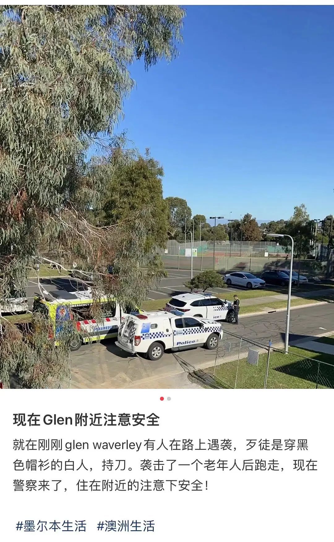 华人目击：Glen Waverley发生持刀血案，凶手逃往学校附近！（组图） - 1