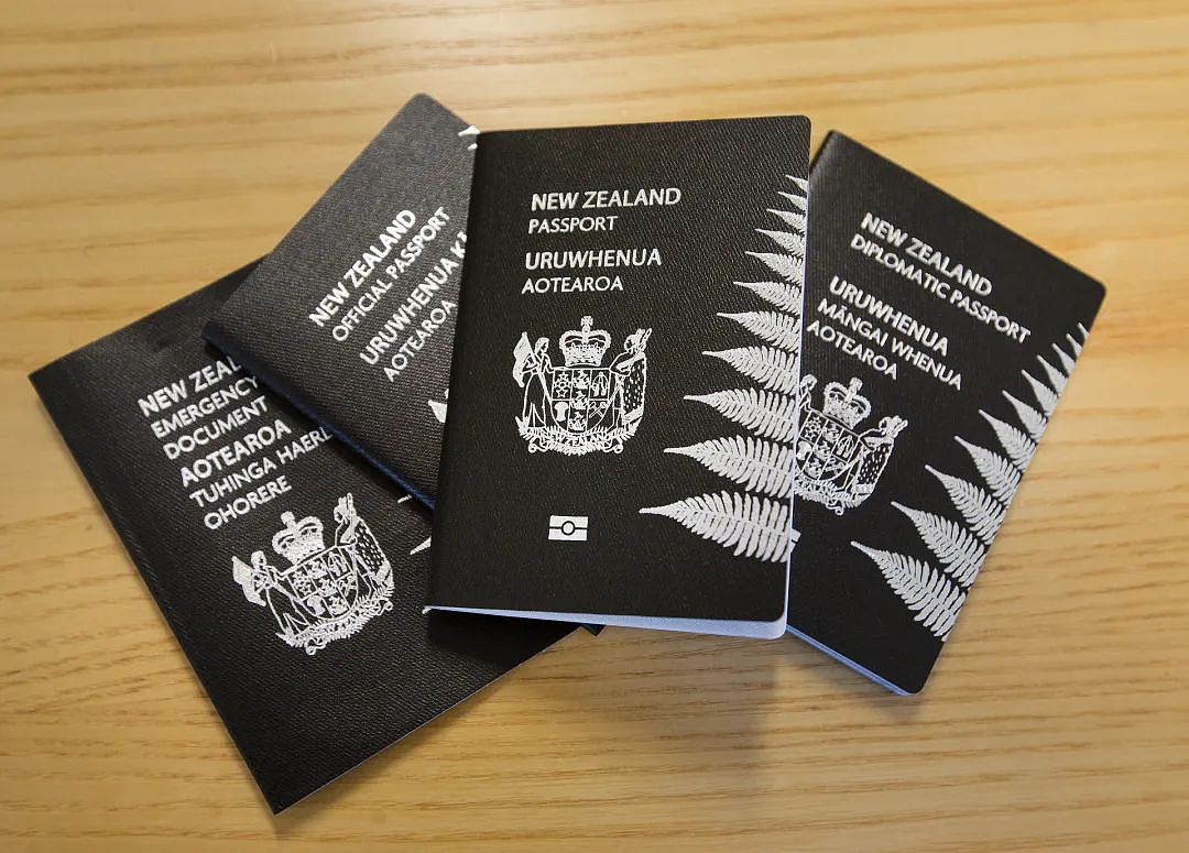 38000人在线等，加急也快不了，新西兰人被警告，新护照至少等俩月（组图） - 4