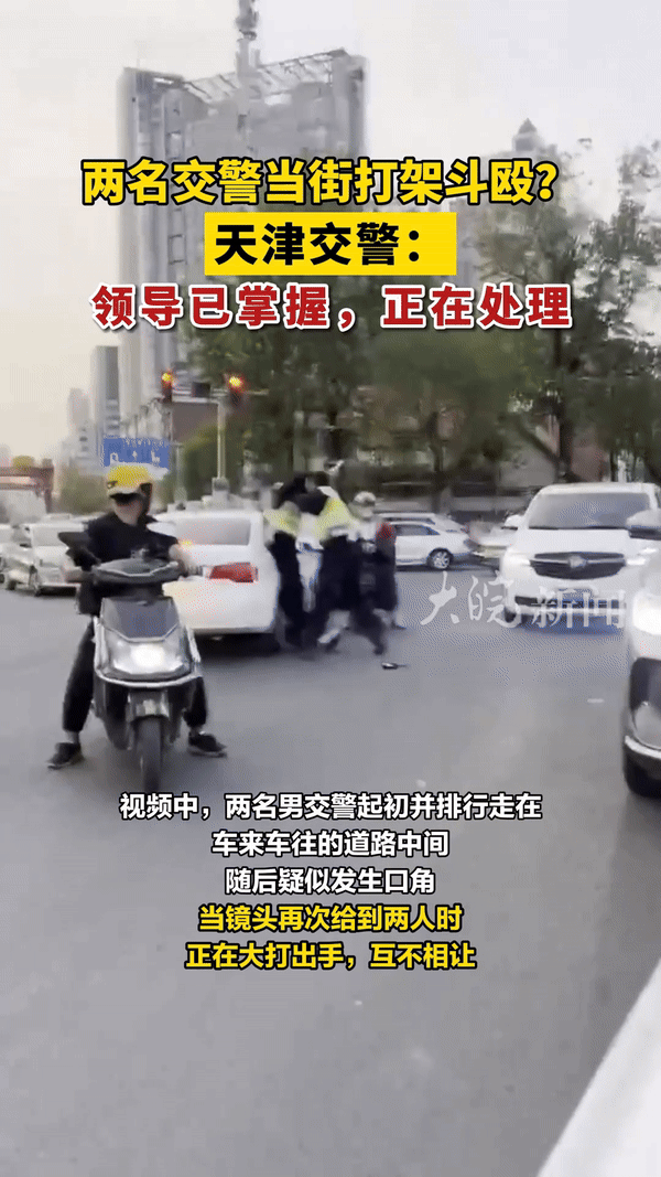 天津两名交警当街互殴，装备都甩飞了，评论区沦陷（组图） - 4