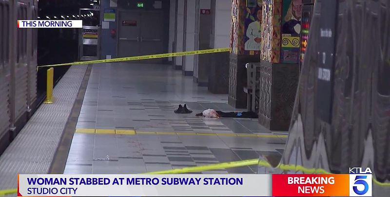 女子热闹地铁站被割喉刺死，月台上血衣醒目（组图） - 1