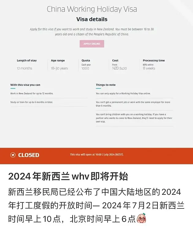 中国“签证代抢”公司突然宣布：暂停新西兰业务！网友：“我的人生结束了…”（组图） - 2