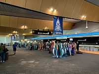 新西兰航空宣布涨价，6月起大调整，境内全航线，行李另收费（组图）