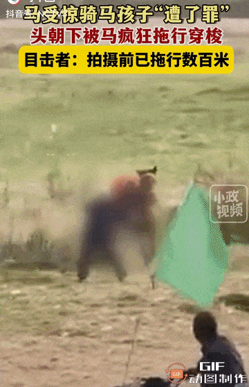 河南一景区突发8岁男孩被马疯狂拖行，视频画面曝！通报：男孩不幸身亡，马主被强制措（视频/组图） - 7
