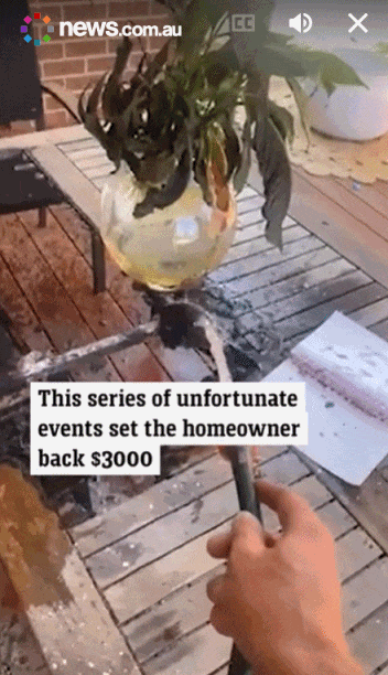 血泪教训！在澳洲，院里放花瓶有什么后果，房子被烧了（组图） - 2