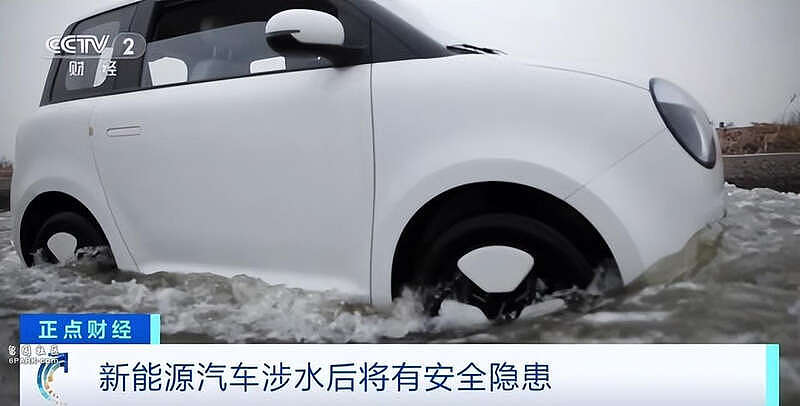 广东一场暴雨撕掉了油车遮羞布，新能源车扳回一局（组图） - 11