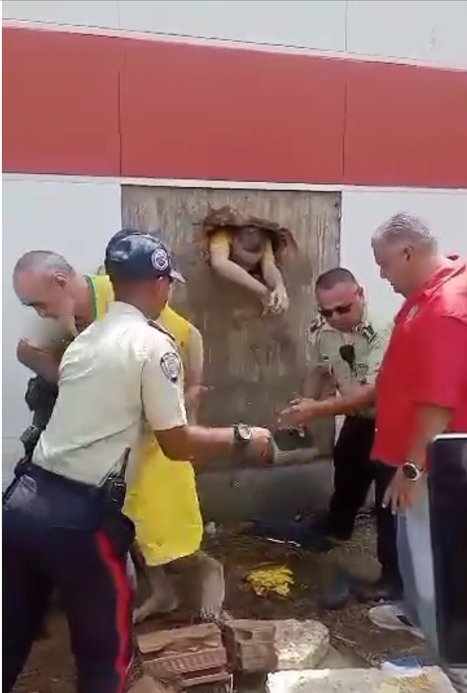 凿墙越狱！委内瑞拉20笨犯爬出洞，警察正开会全部一网打尽（视频/组图） - 5