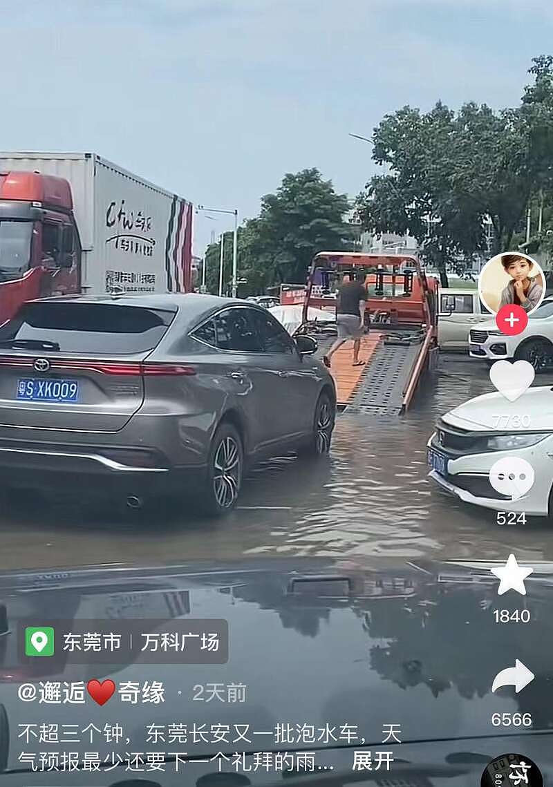 广东一场暴雨撕掉了油车遮羞布，新能源车扳回一局（组图） - 6