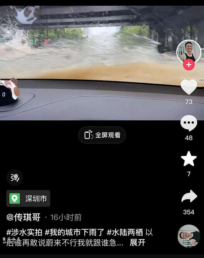 广东一场暴雨撕掉了油车遮羞布，新能源车扳回一局（组图） - 8