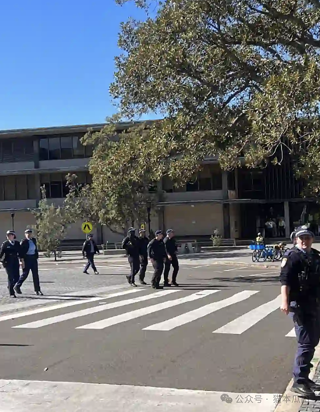 悉尼大学出现“炸弹威胁”！部分建筑物封锁，学生紧急疏散，今天还有大规模抗议活动…（组图） - 11