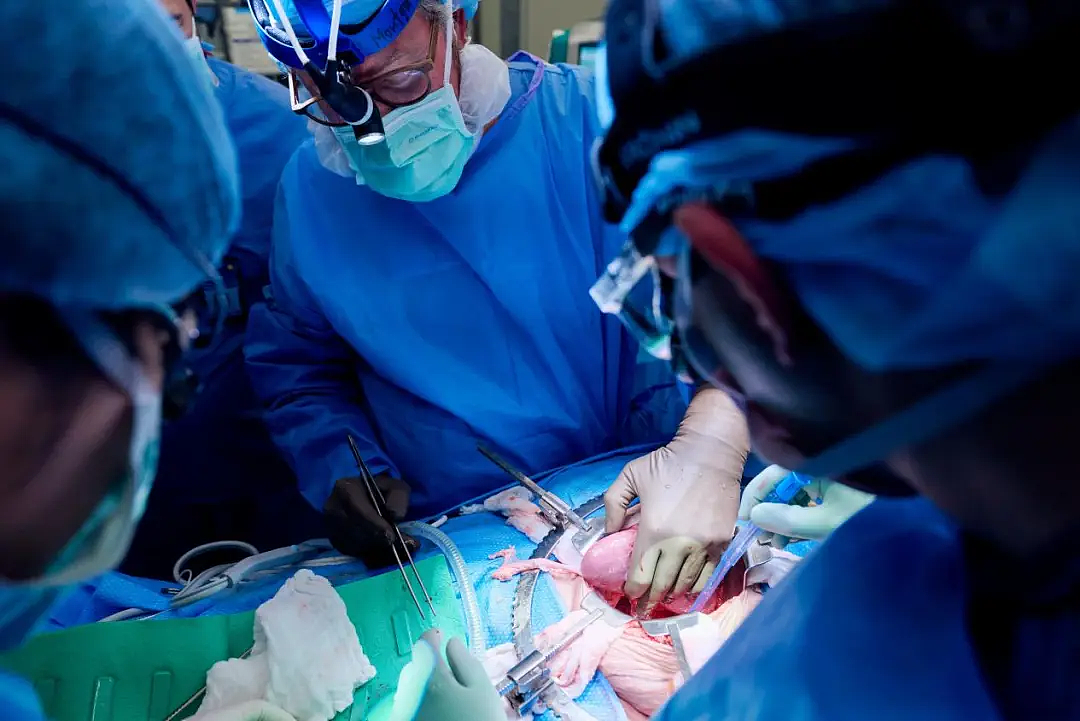 全球首例！54岁女病人同时移植人工心脏和猪肾（组图） - 8