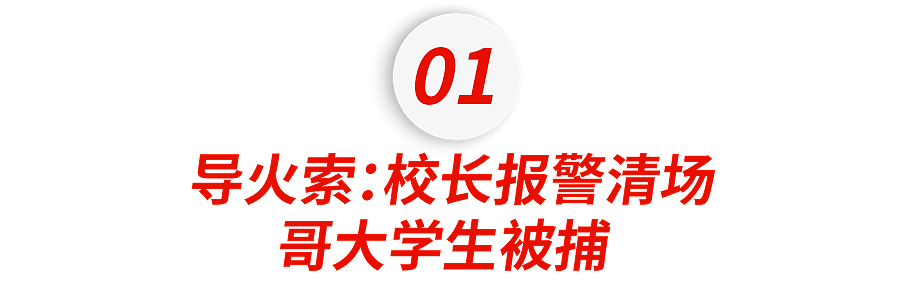 巴以战火蔓延至美国校园！纽大“沦陷”、南加大取消毕业典礼，防爆警察逮捕数百学生，彻底乱了……（组图） - 5