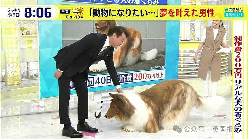 日本男子花200万变成狗，最新哈士奇造型炸裂！张嘴摇尾巴巨逼真，网友：狗看了都叫哥（组图） - 15