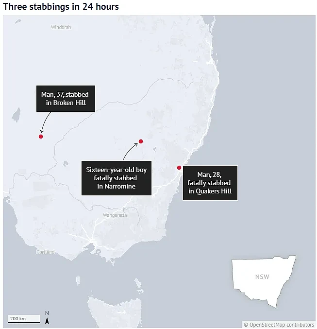 2死1重伤！24小时内，澳洲连发5起持刀捅人案！视频曝光：商场砍人，突袭居民（视频/组图） - 1