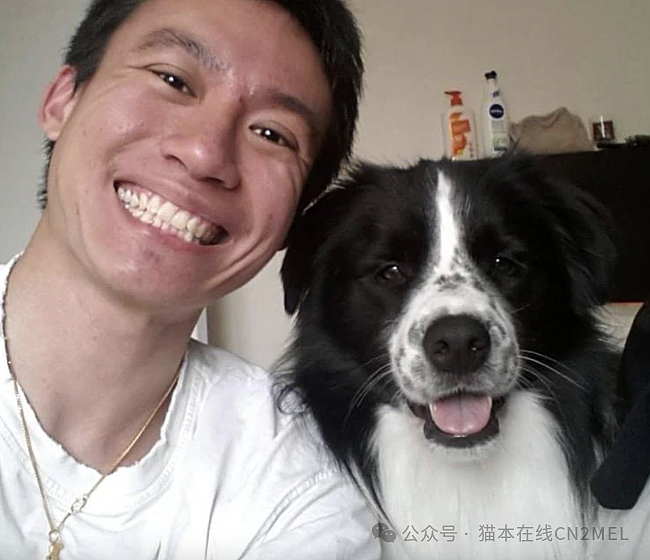 辣眼睛！澳洲华人兽医偷尝狗狗精液，被罚$5000！辩称“好奇咸不咸”（组图） - 2