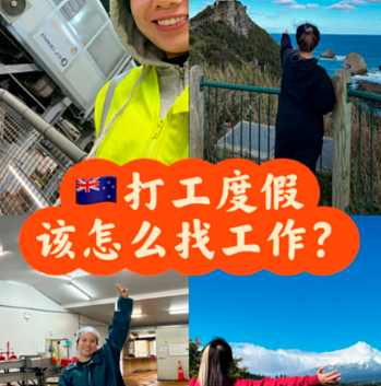 华裔北大高材生在新西兰打工：“干体力活，年薪仅$3.2万”！新西兰失业率将飙至5%...（组图） - 2