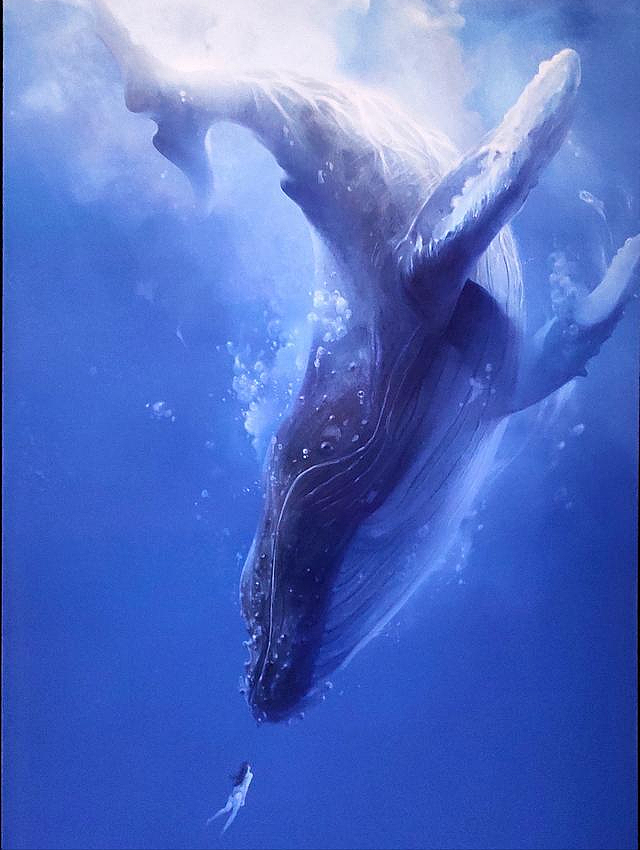 【宠物】蓝鲸一次排便可达2吨！方圆百米遮天蔽日，竟被称为自然的恩赐（组图） - 22