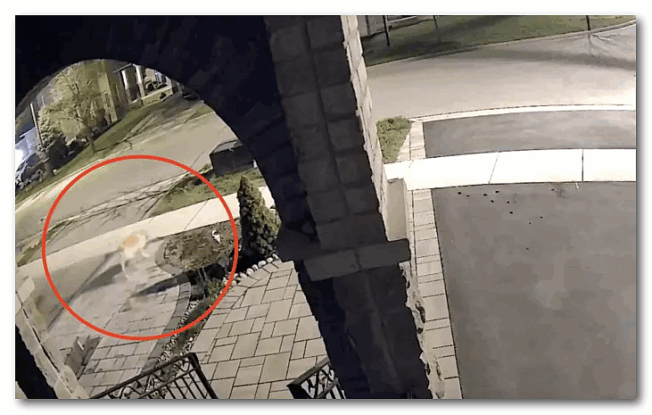 恐怖！华人女子带两娃家门口遇袭摔下楼梯，大型犬直往身上扑（视频/组图） - 5