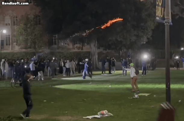史无前例学生运动！UCLA夜间暴动，持械互殴！两小时后警方才介入（视频/组图） - 5