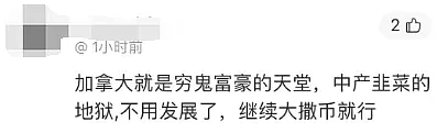 亏惨了！加拿大知名华人商场进入破产管理：欠债$5200万！经营5年撑不下去（组图） - 17