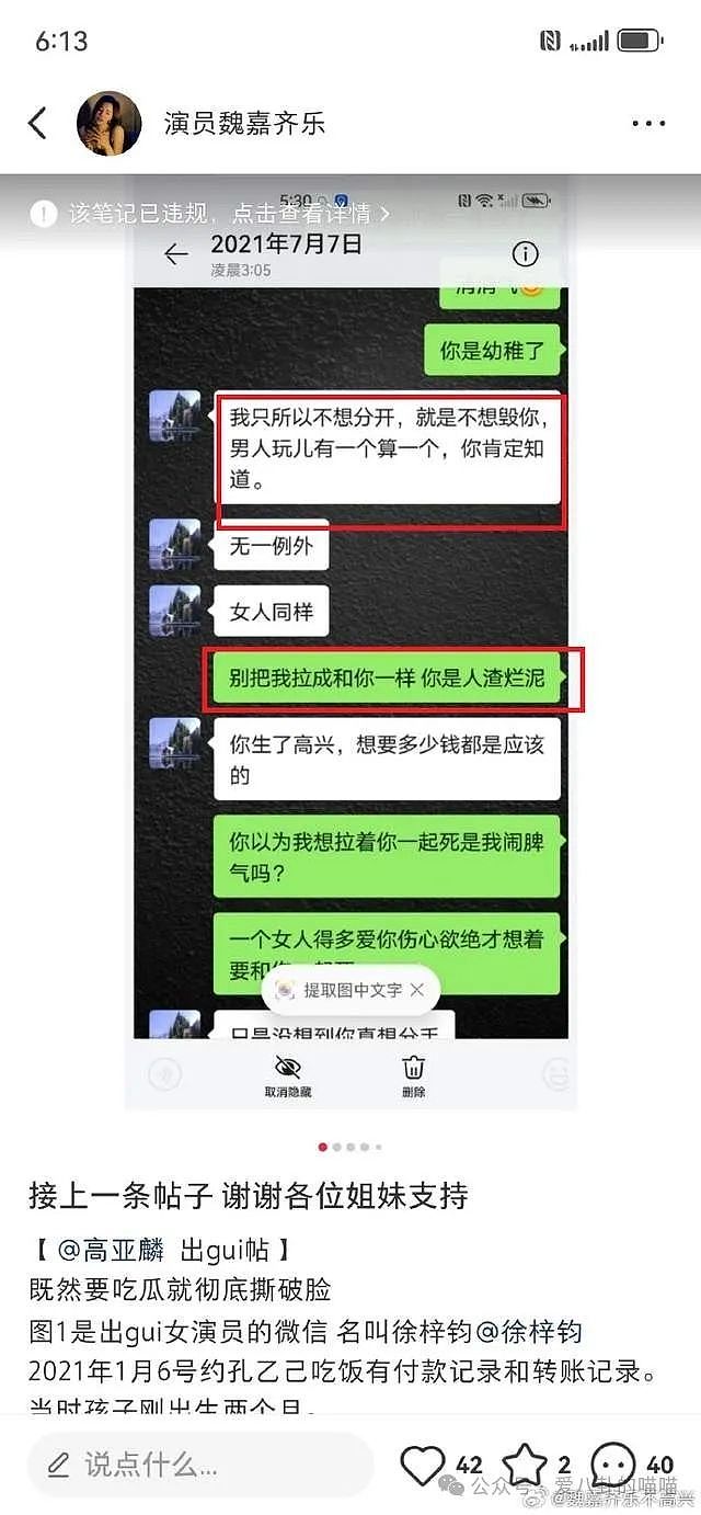 高亚麟称出轨对象是鸡，比他小26岁长相酷似杨颖，一次转账好几万（组图） - 8