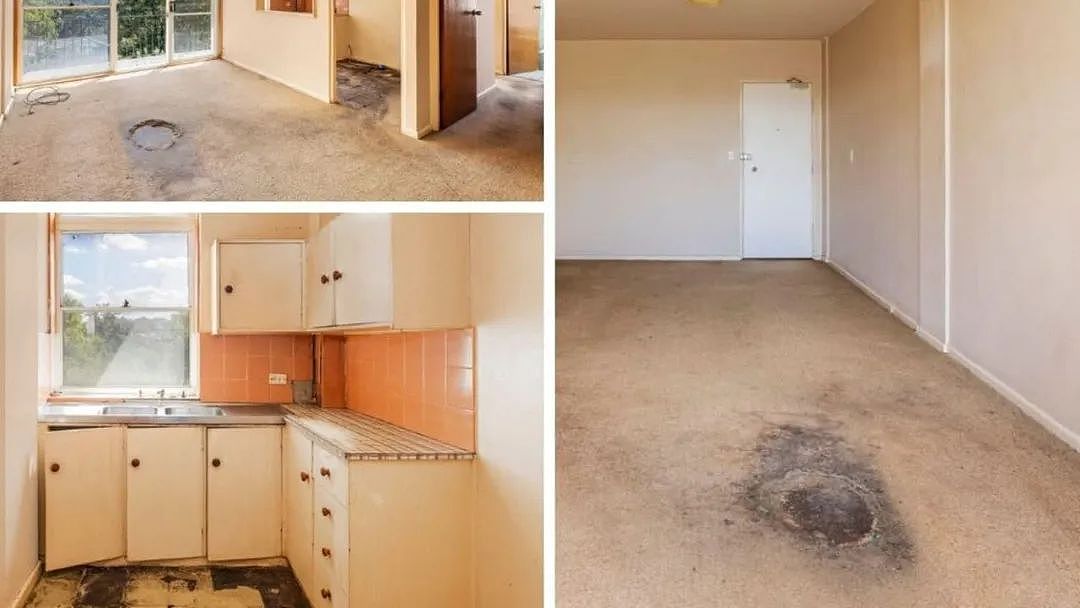 拍卖 | 地毯腐烂，橱柜脱落！悉尼破旧公寓吸引近300人来看房，26人竞争激烈，中介直呼疯狂（组图） - 1