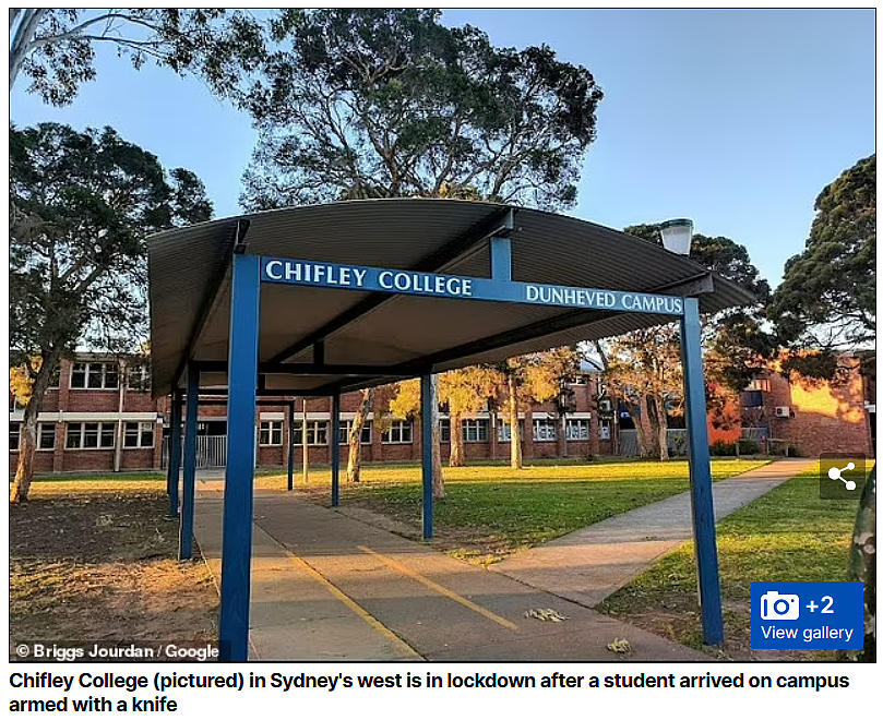 悉尼学校紧急封锁！学生持刀闯入校园，一名老师受伤（组图） - 5