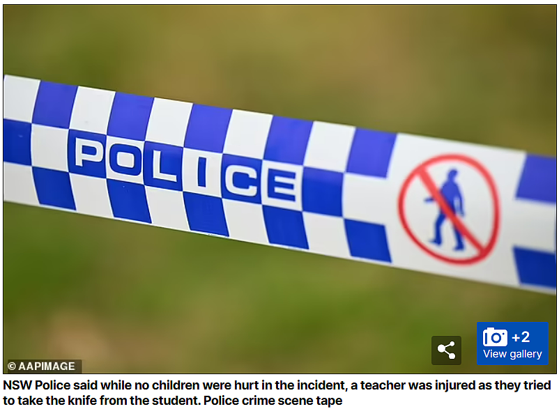 悉尼学校紧急封锁！学生持刀闯入校园，一名老师受伤（组图） - 9